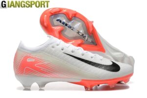 Vapor 16
