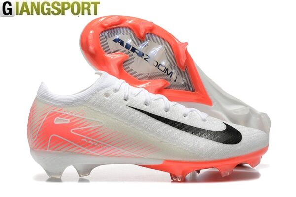 Vapor 16